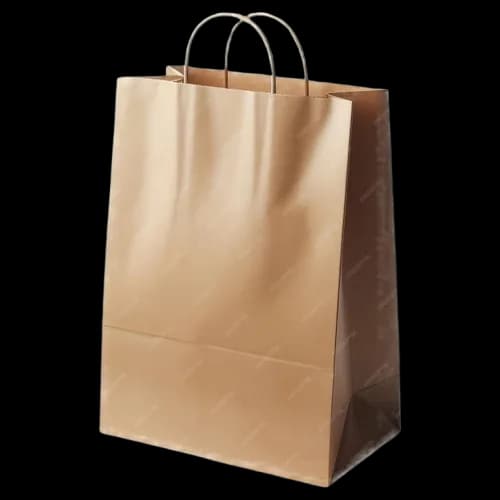 Brown kraft paper shopping bags with handles